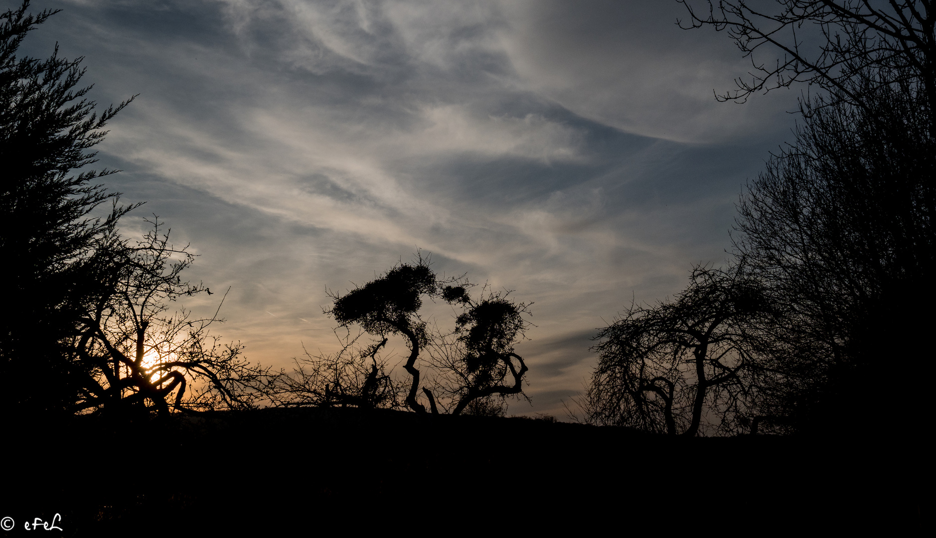 Découpes par soleil couchant