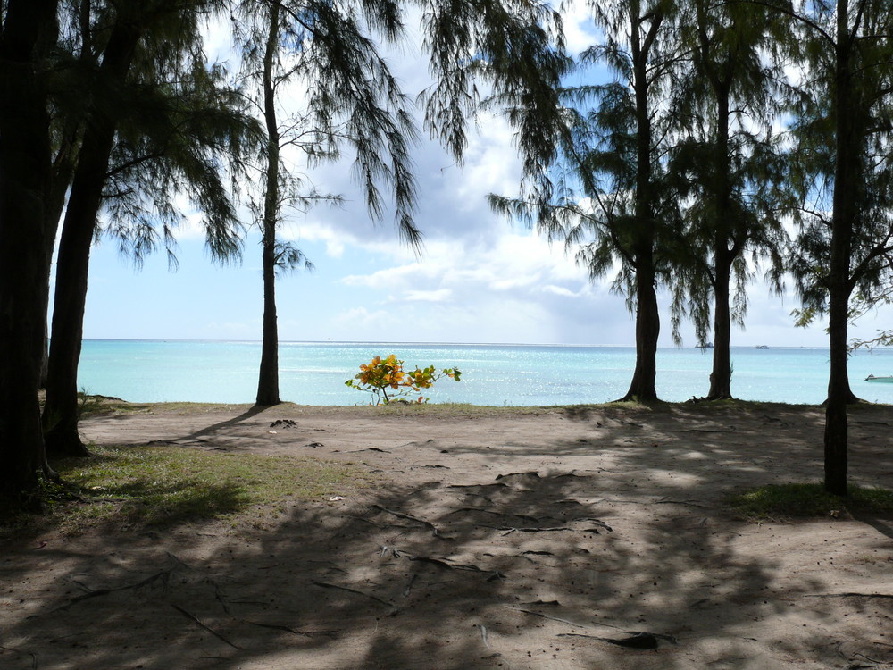 Découverte d'une plage à l'Ile Maurice