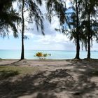 Découverte d'une plage à l'Ile Maurice