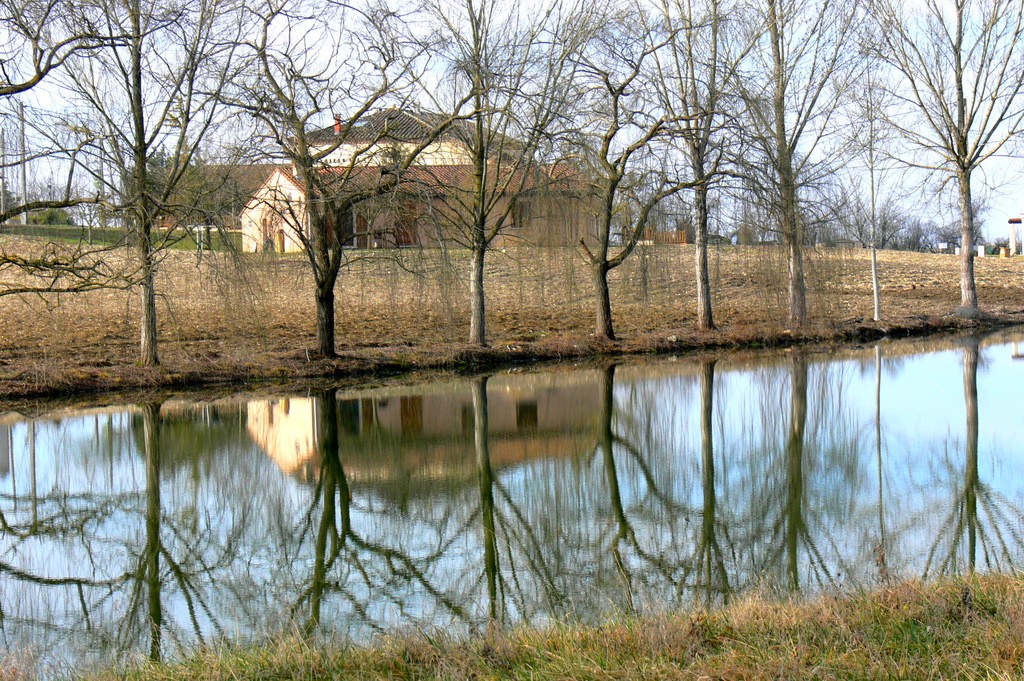 Découverte matinale