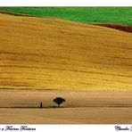 Dedicata a Franco Fontana