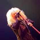 Dee Snider