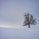 Winter-Silence