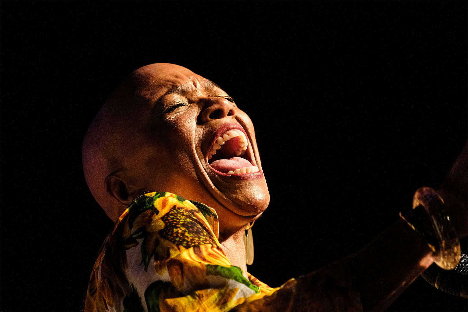 DeeDee Bridgewater 