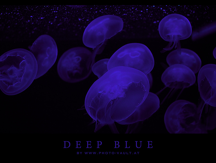 Deep Blue