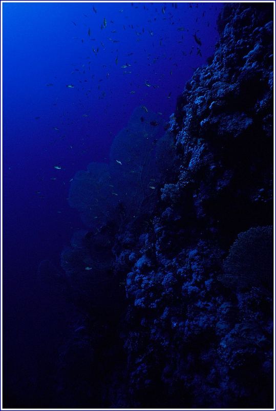 deep blue !!!