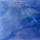 Deep Blue mit Delfinen