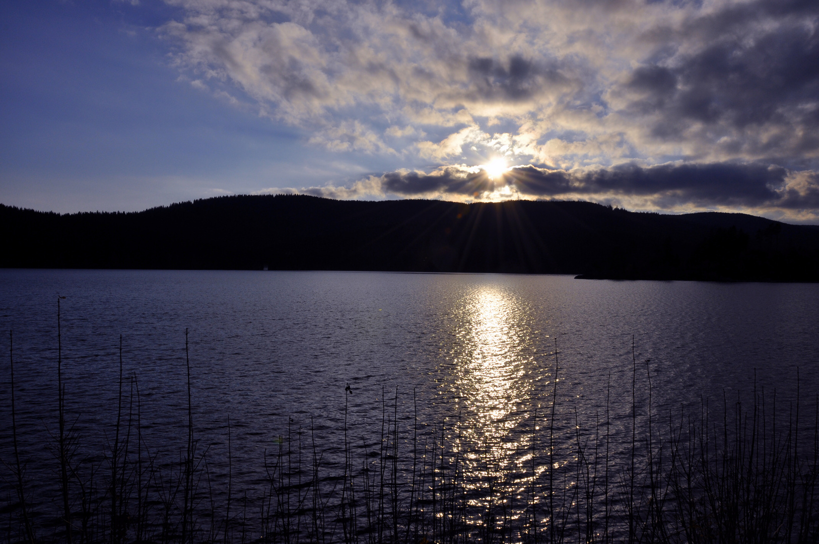 Deep blue Schluchsee