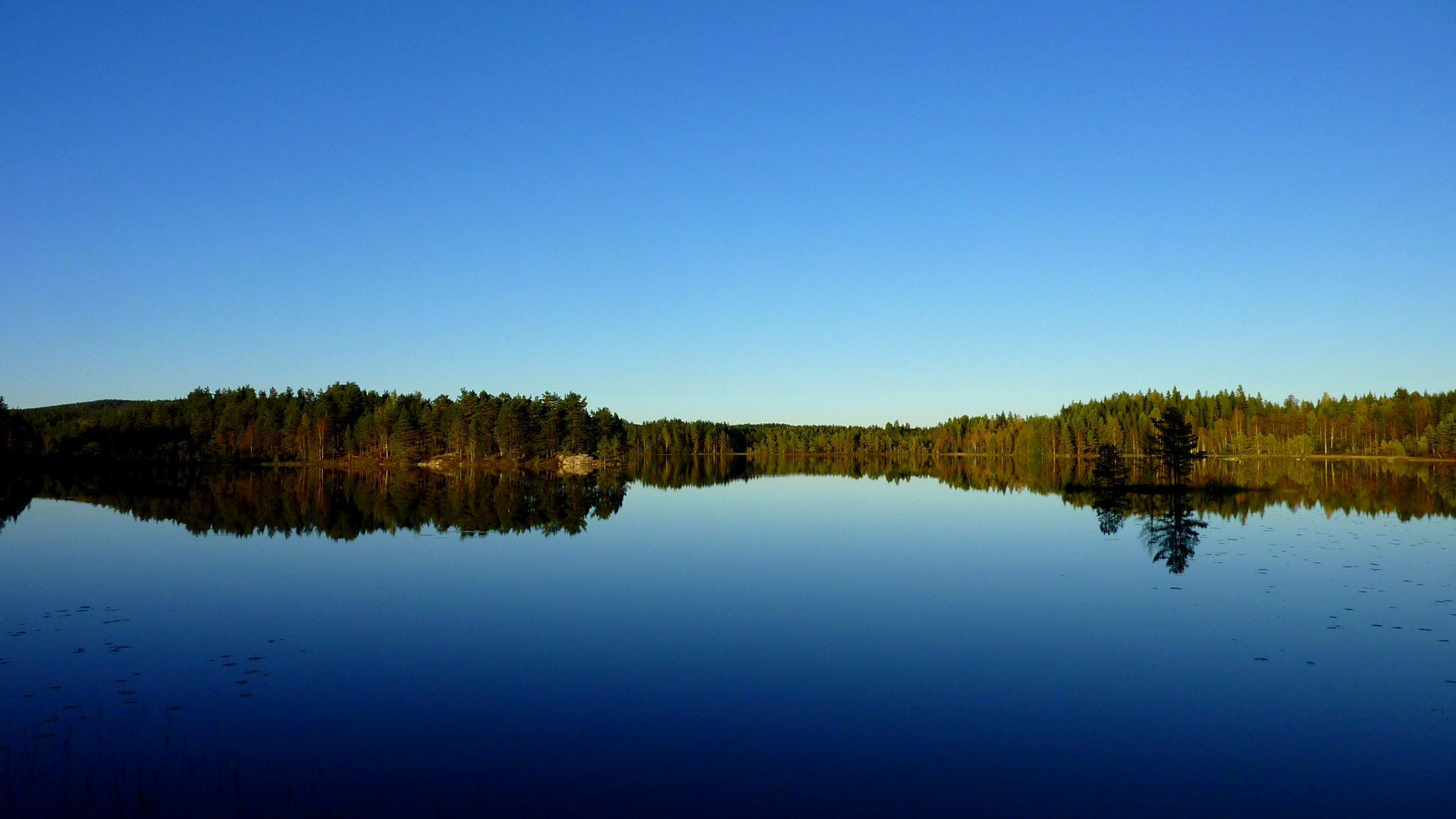 Deep Blue See