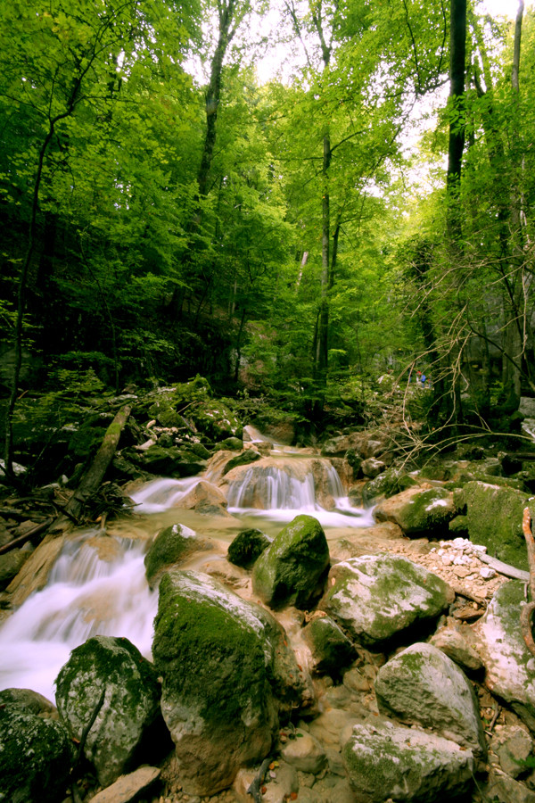 Deep Green von Daniel Wuttke