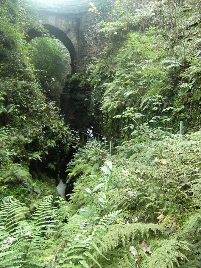 Deep in the Gorge.