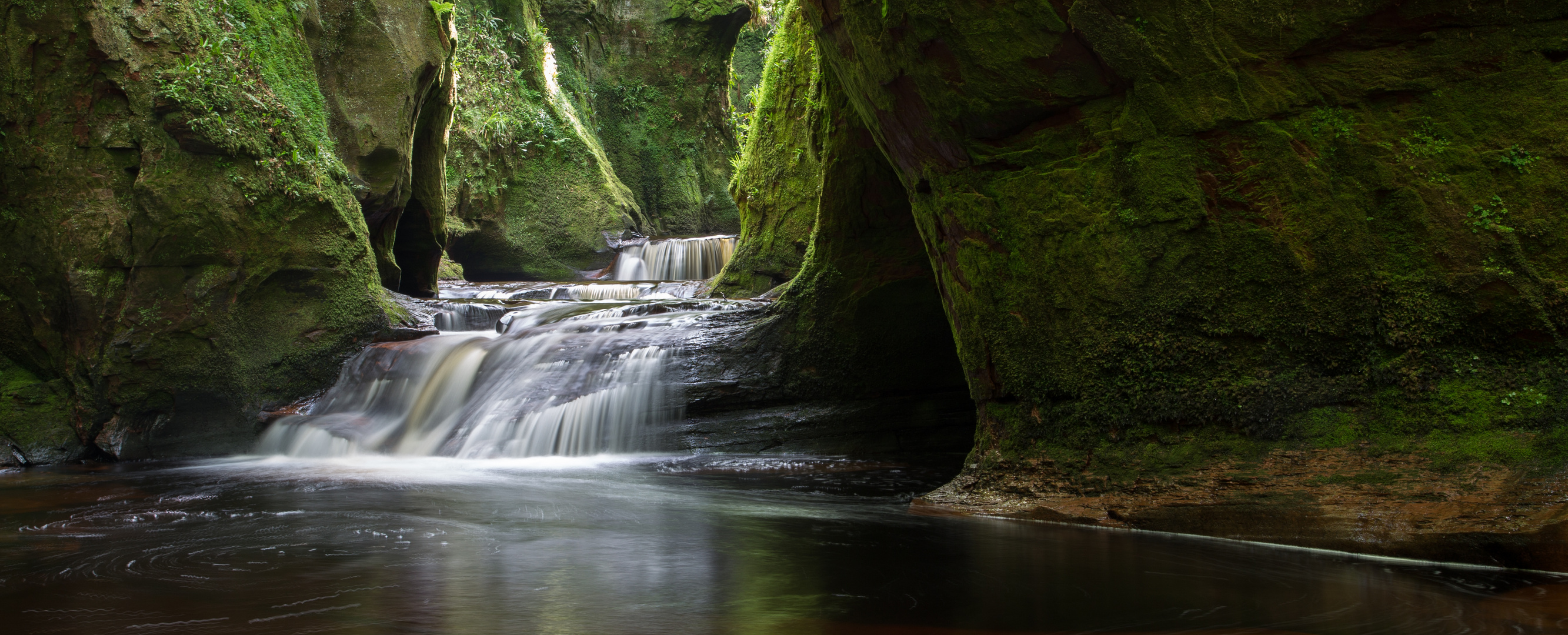 - Deep in the Green - 