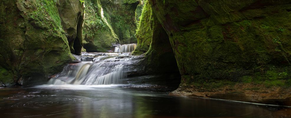 - Deep in the Green - 