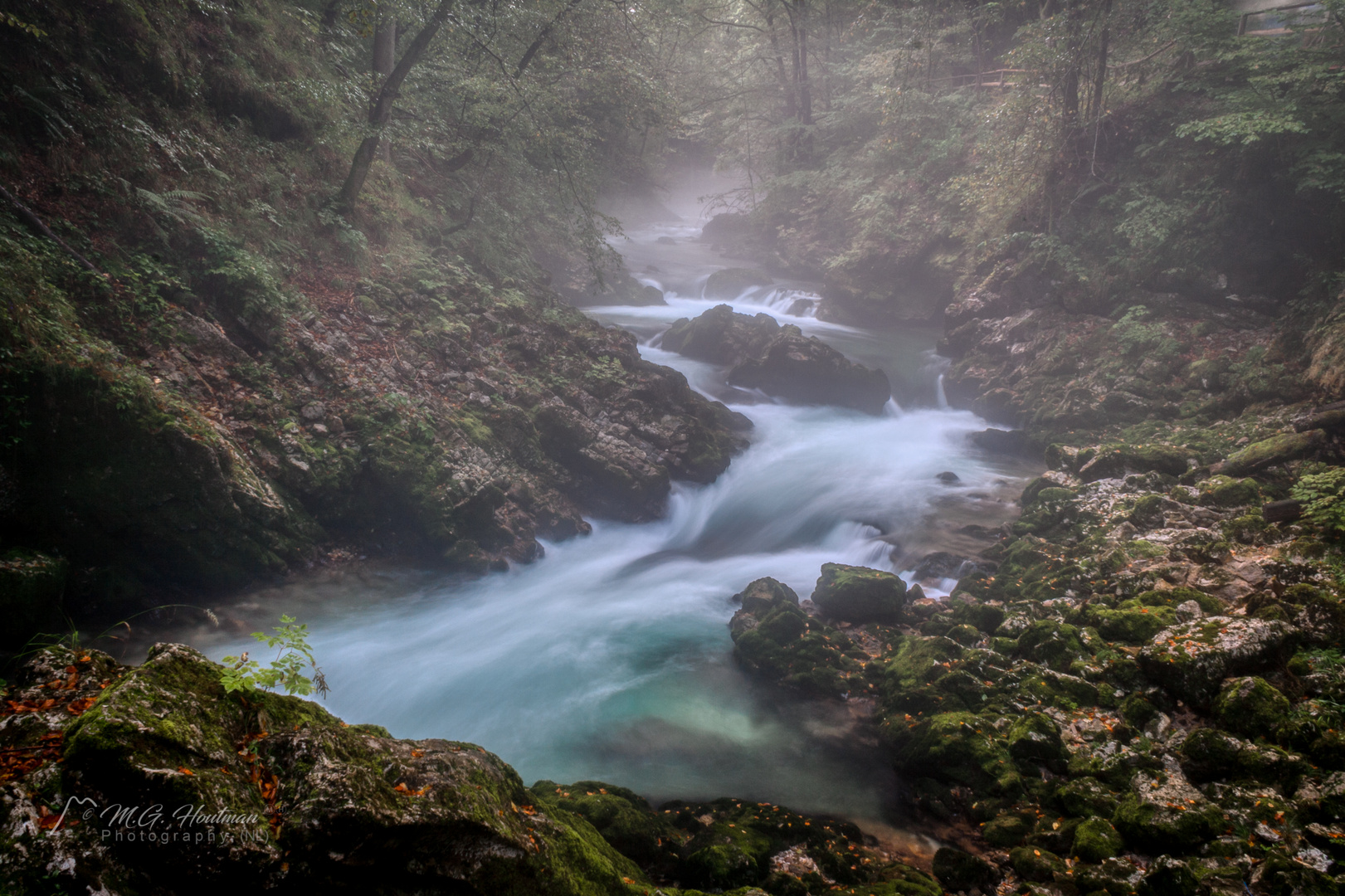 Deep in the Slovenian forest