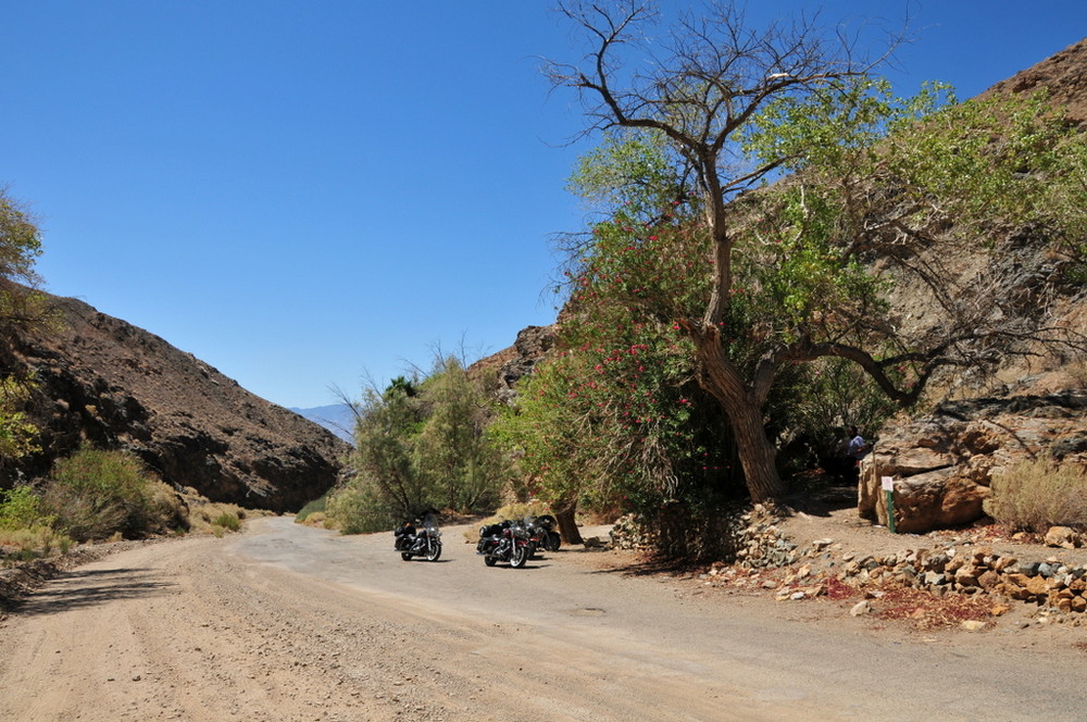 Deep in the Valley with some shade