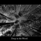 deep in the wood