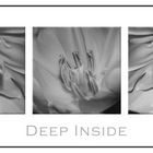 Deep inside *