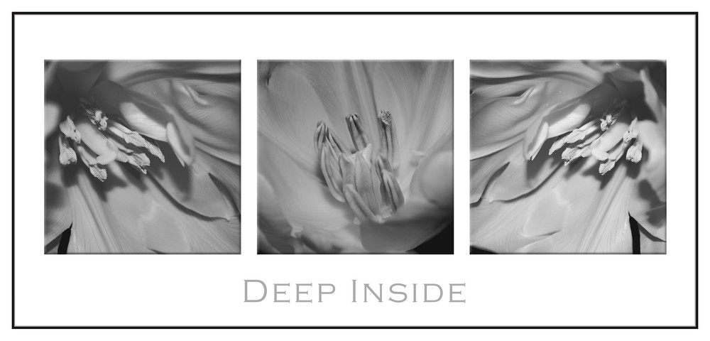 Deep inside *