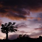 . deep patagonian sky .