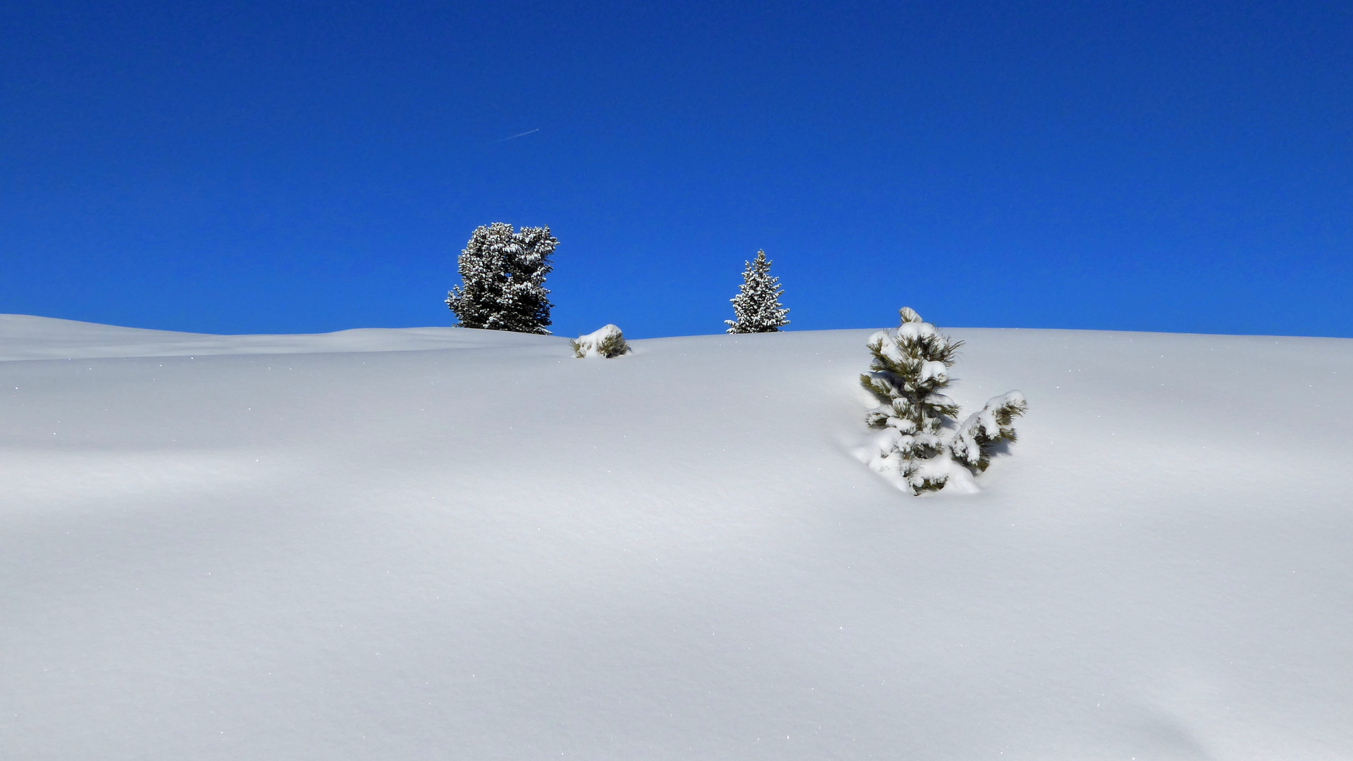 Deep Snow 2