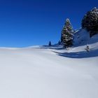 Deep Snow