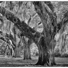 Deep South