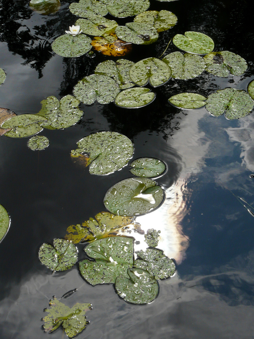 Deep Swedish Lake