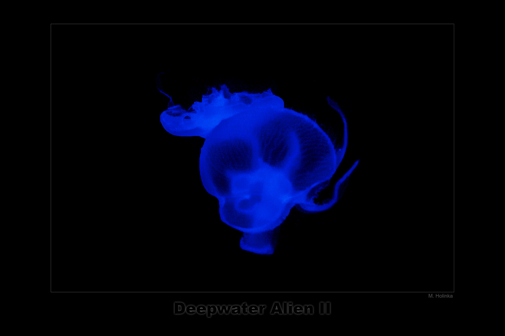 Deepwater Alien II