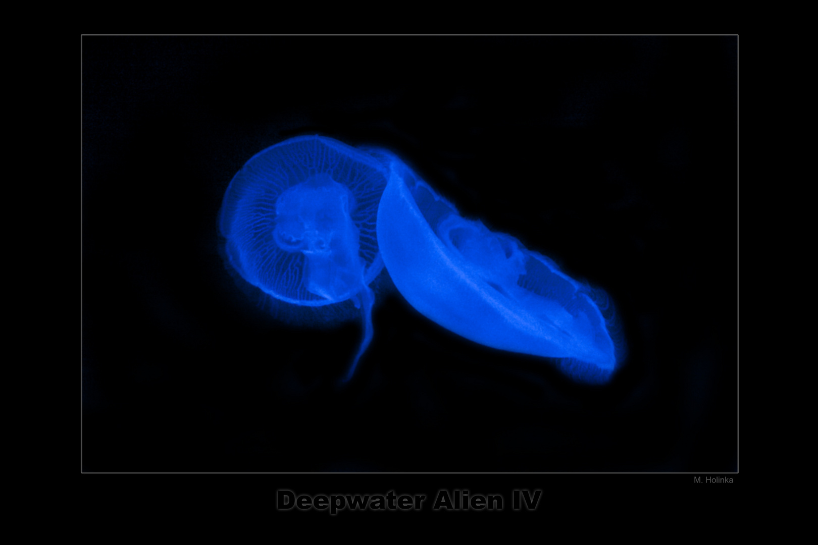 Deepwater Alien IV