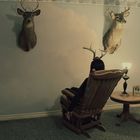 Deer Surreal