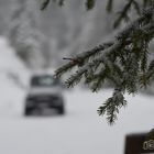 Defender im Schnee D75_0356