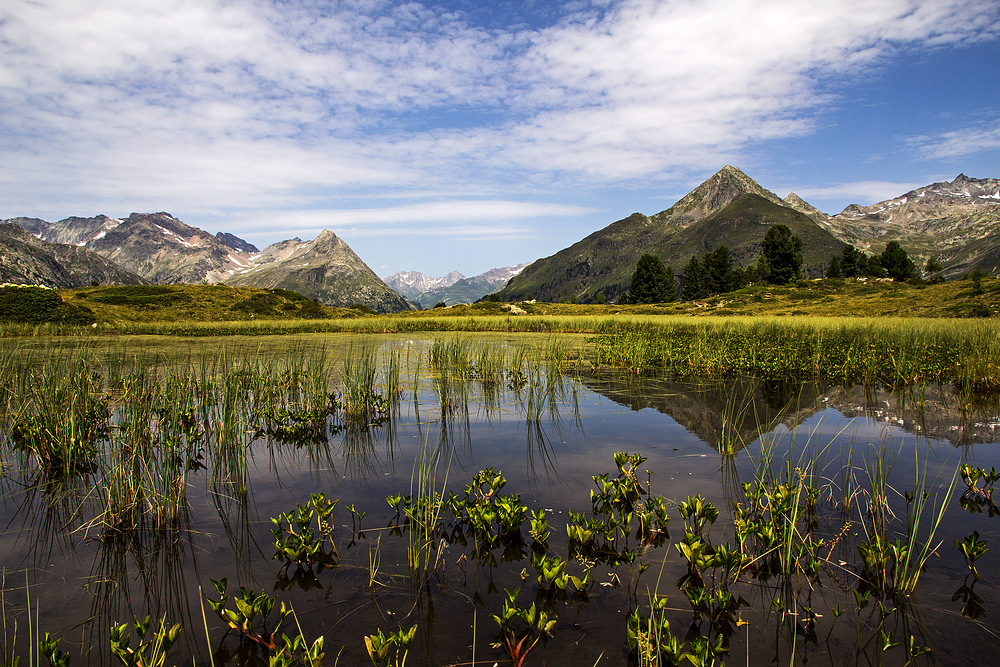 Defregger Berge