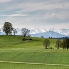 Degerndorf, Blick auf die Maria-Dank-Kapelle