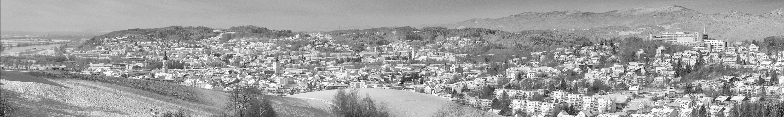 Deggendorf, Panorama