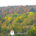 Dégradé d'abres en automne