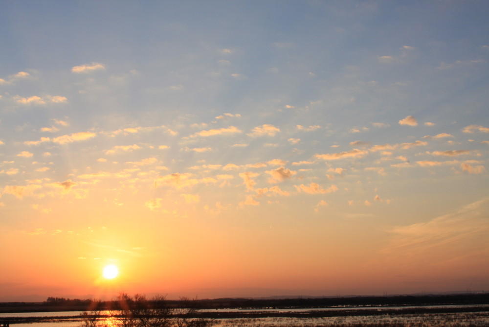 Dégradé sur Camargue