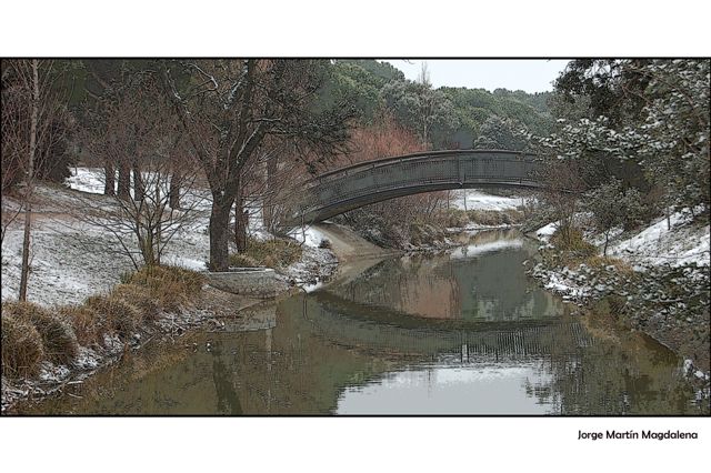 Dehesa de Navalcarbón. Las Rozas de Madrid