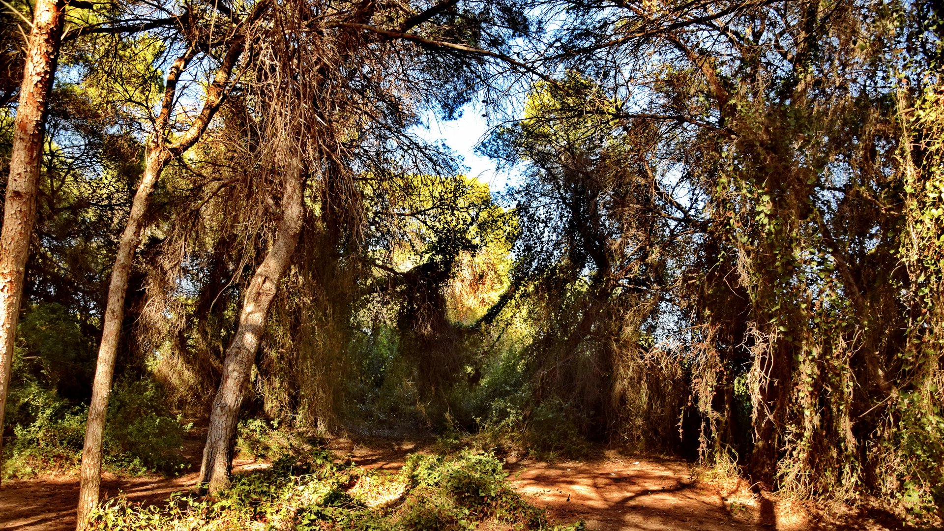 Dehesa Naturpark