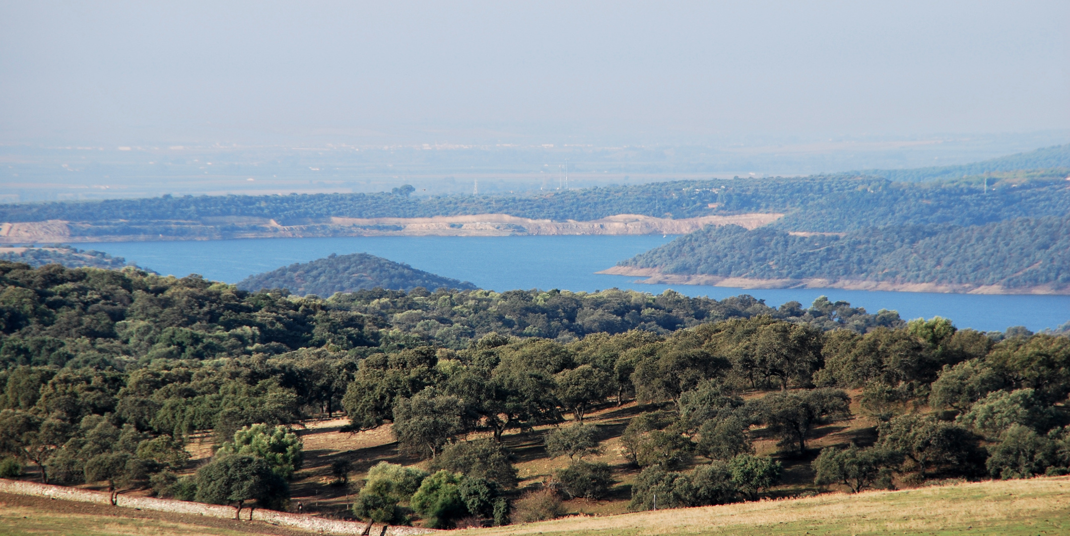 dehesa y pantano