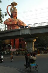 Dehli, street life (11)