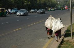 Dehli, street life (14)