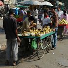 Dehli street life (14) - bananas