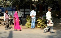 Dehli street life, coconuts