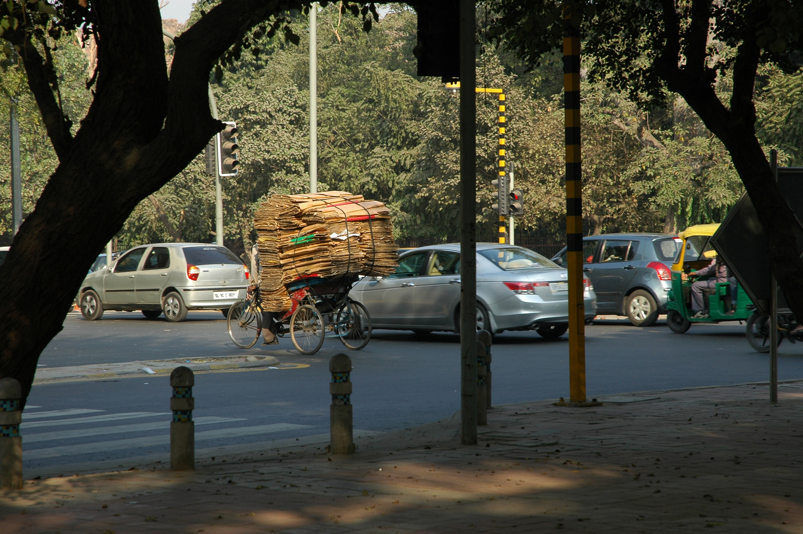 Dehli transport (6)