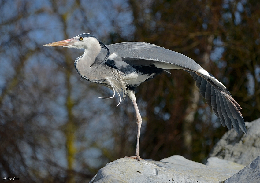 Dehnübungen