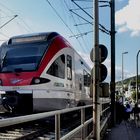 Dei Rheingaubahn passiert Rüdesheim