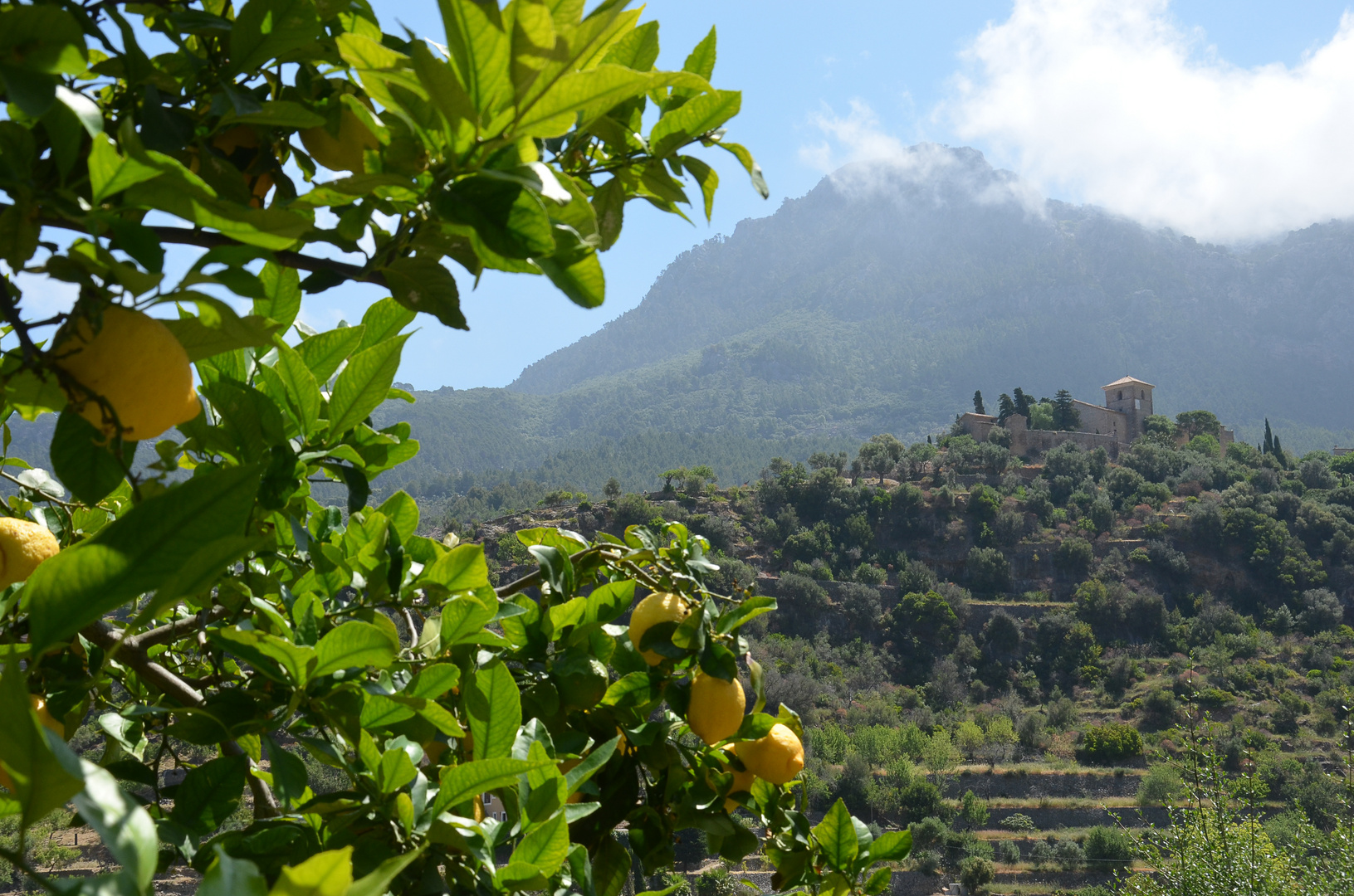 Deiá/ Mallorca