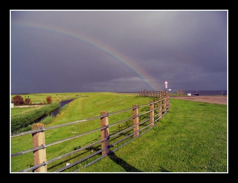 Deich auf Ameland