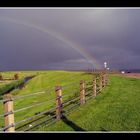 Deich auf Ameland