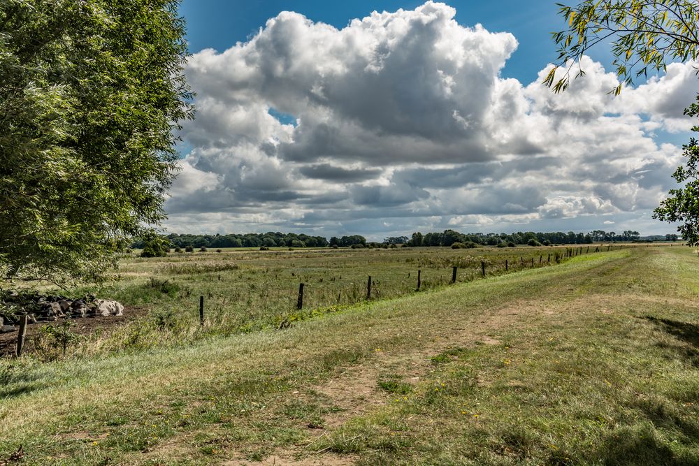 Deich bei Ludwigsburg am Greifswalder Bodden